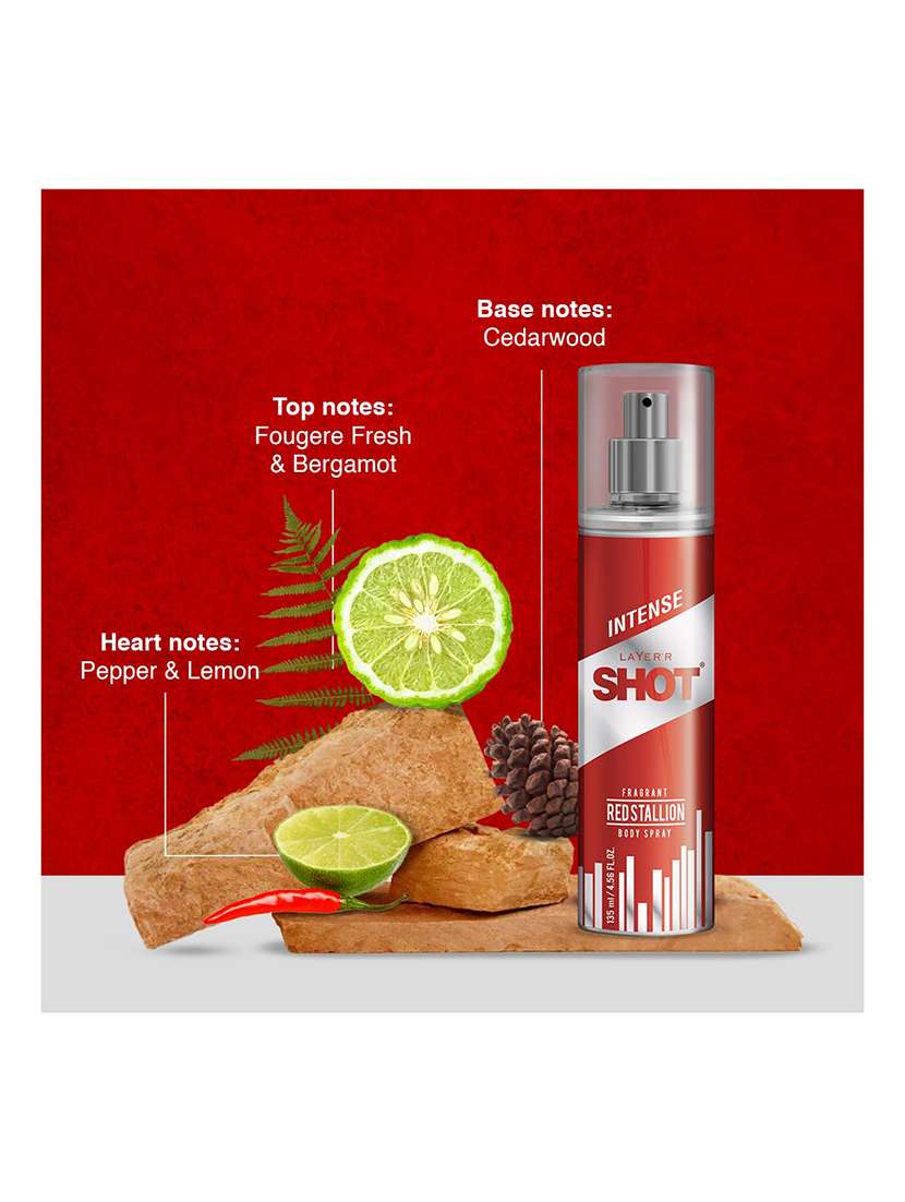 long lasting fragrance body spray  -  for men pack of 2 - 22379394 -  Standard Image - 2