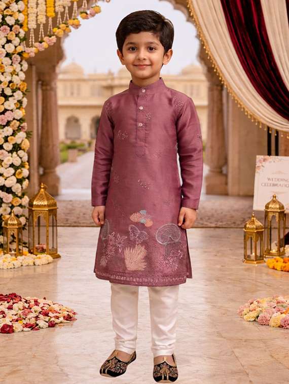 boys embroidered kurta and pyjama set - 22448824 -  Standard Image - 2