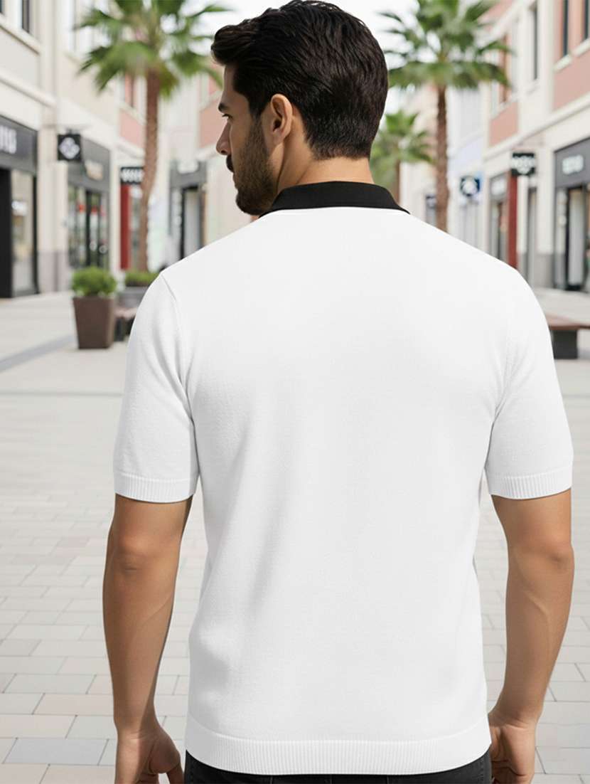 men color block short sleeve regular fit polo t-shirt - 22467334 -  Standard Image - 2