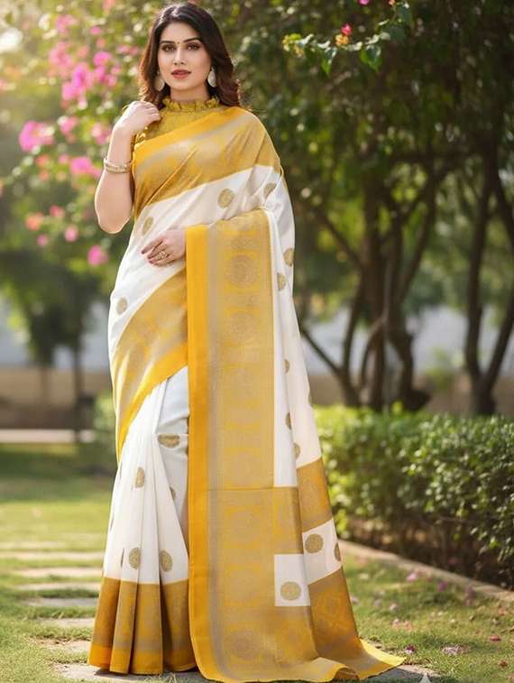 women printed bordered saree with blouse