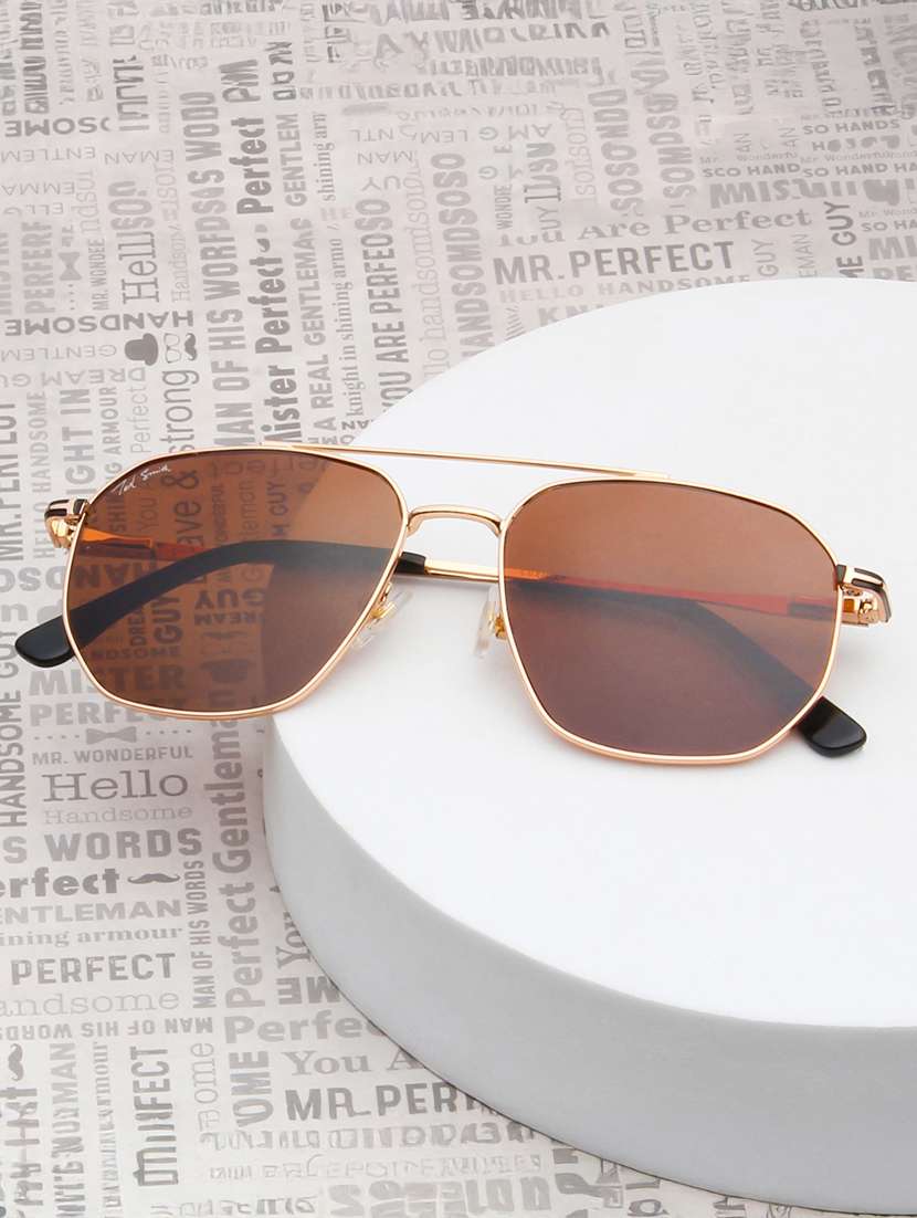 ted smith unisex brown lens & gold-toned aviator sunglasses with