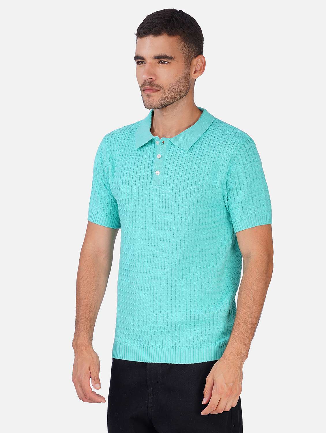 Men Self Design Short Sleeve Regular Fit Polo T-shirt - 22558359 -  Standard Image - 2