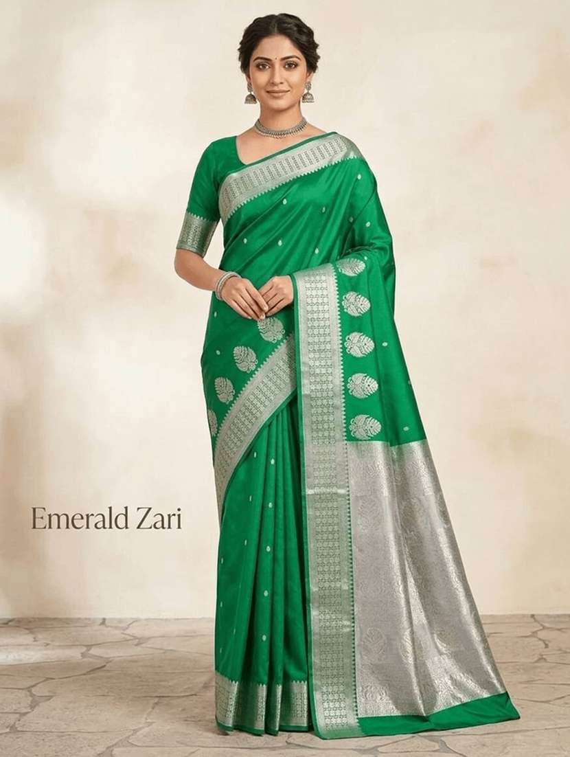 women self design banarasi saree with blouse