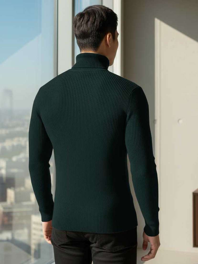 men self design turtle neck slim fit pullover - 22608438 -  Standard Image - 2
