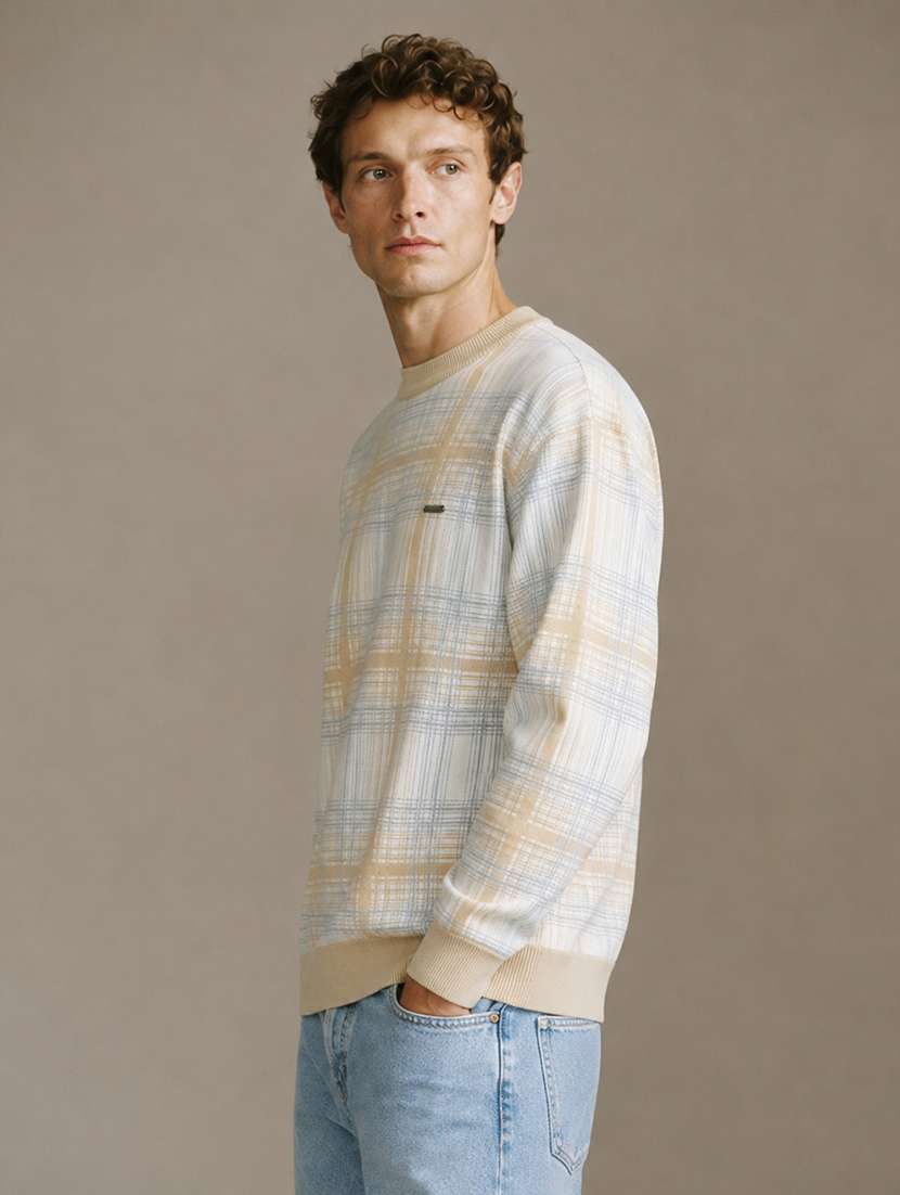 Men Checkered Long Sleeve Regular Fit Pullover - 22701565 -  Standard Image - 2