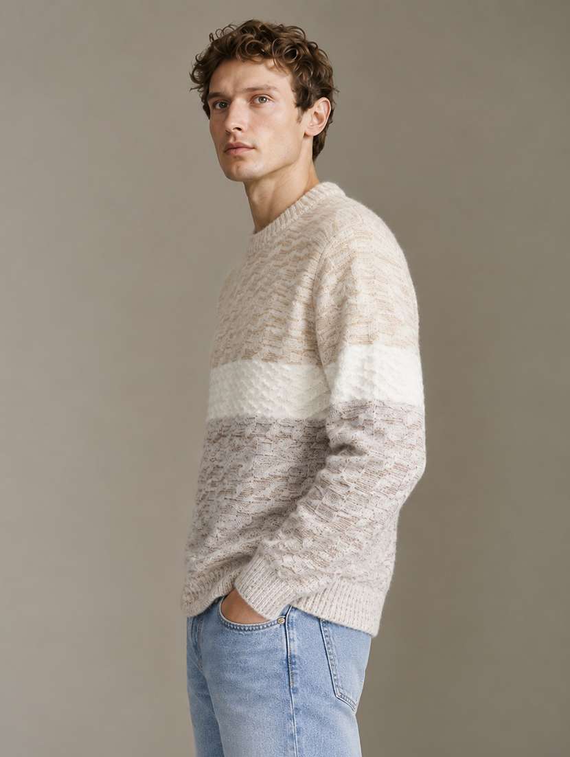 Men Self Design Long Sleeve Regular Fit Pullover - 22730735 -  Standard Image - 2
