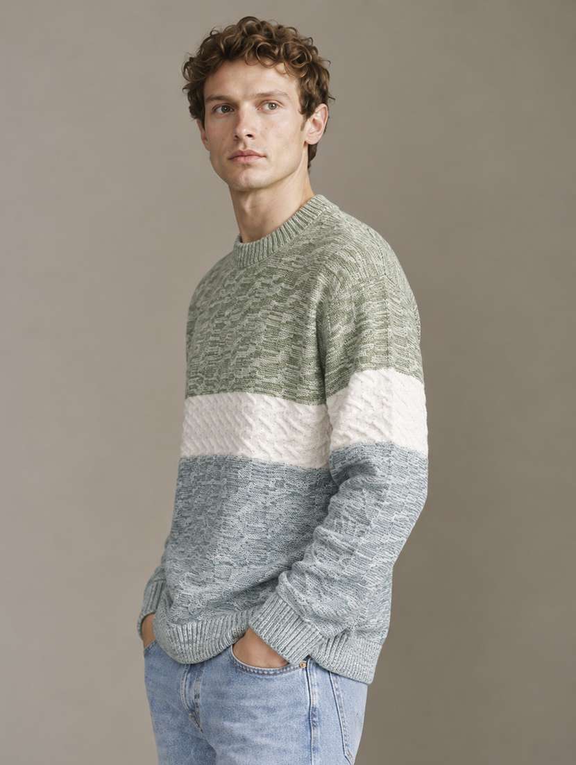 Men Self Design Long Sleeve Regular Fit Pullover - 22730737 -  Standard Image - 2