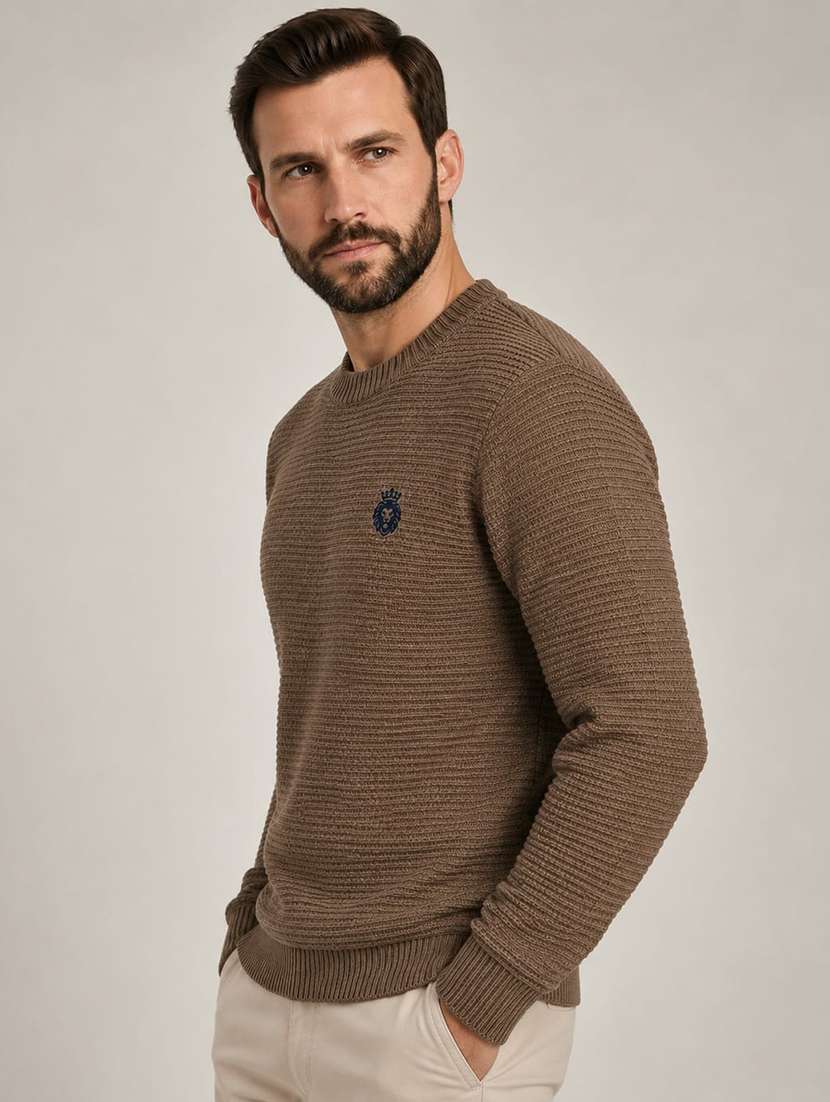 Men Self Design Long Sleeve Regular Fit Pullover - 22731557 -  Standard Image - 2
