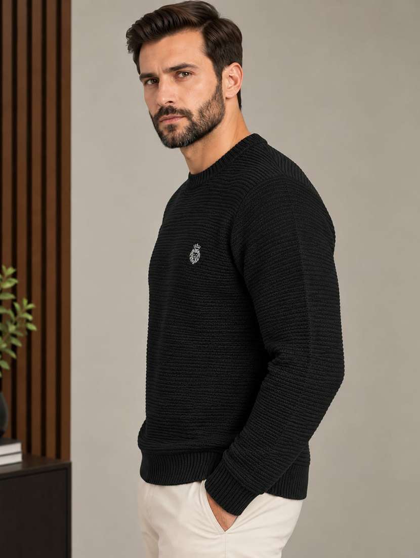 Men Self Design Long Sleeve Regular Fit Pullover - 22731558 -  Standard Image - 2