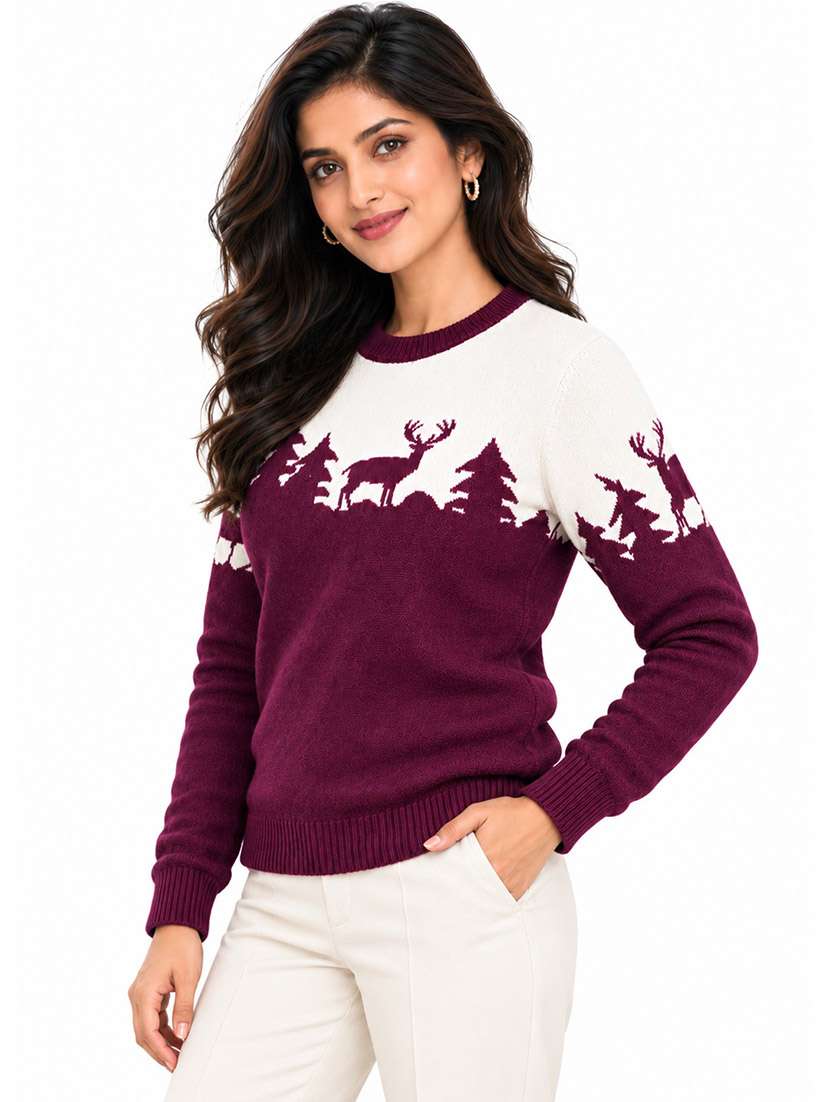 Women Self Design Long Sleeves Regular Sweater - 22764936 -  Standard Image - 2