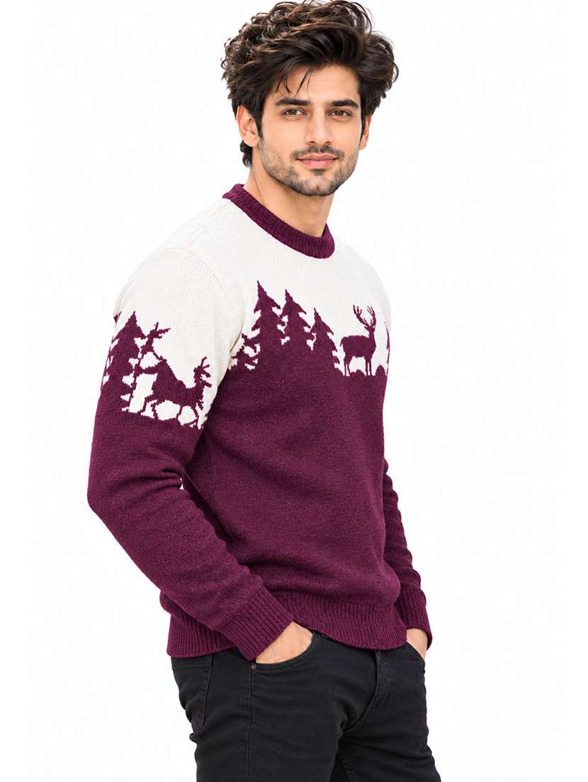 Men Self Design Long Sleeves Regular Pullover - 22764949 -  Standard Image - 2