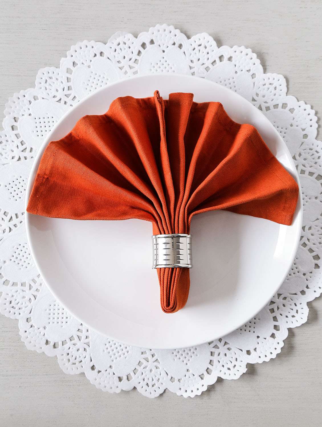 plain dinner napkins set (set of 6)