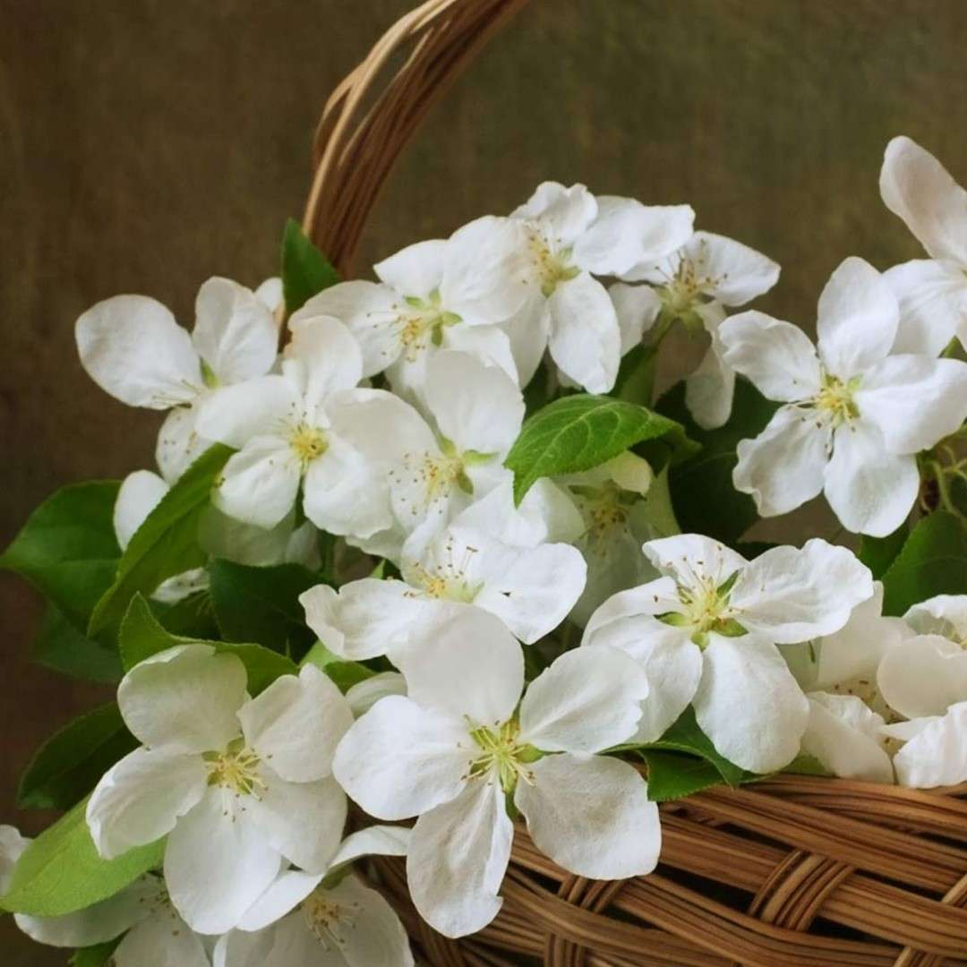 siri siri 👗💄🛍️🍭👟